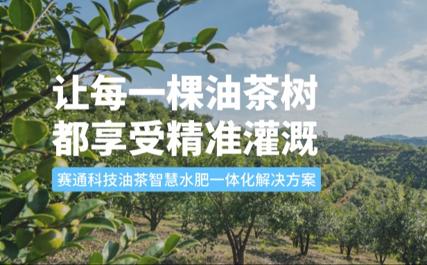赛通科技油茶南宫NG28水肥一体化解决方案：让每一棵油茶树都享受精准灌溉
